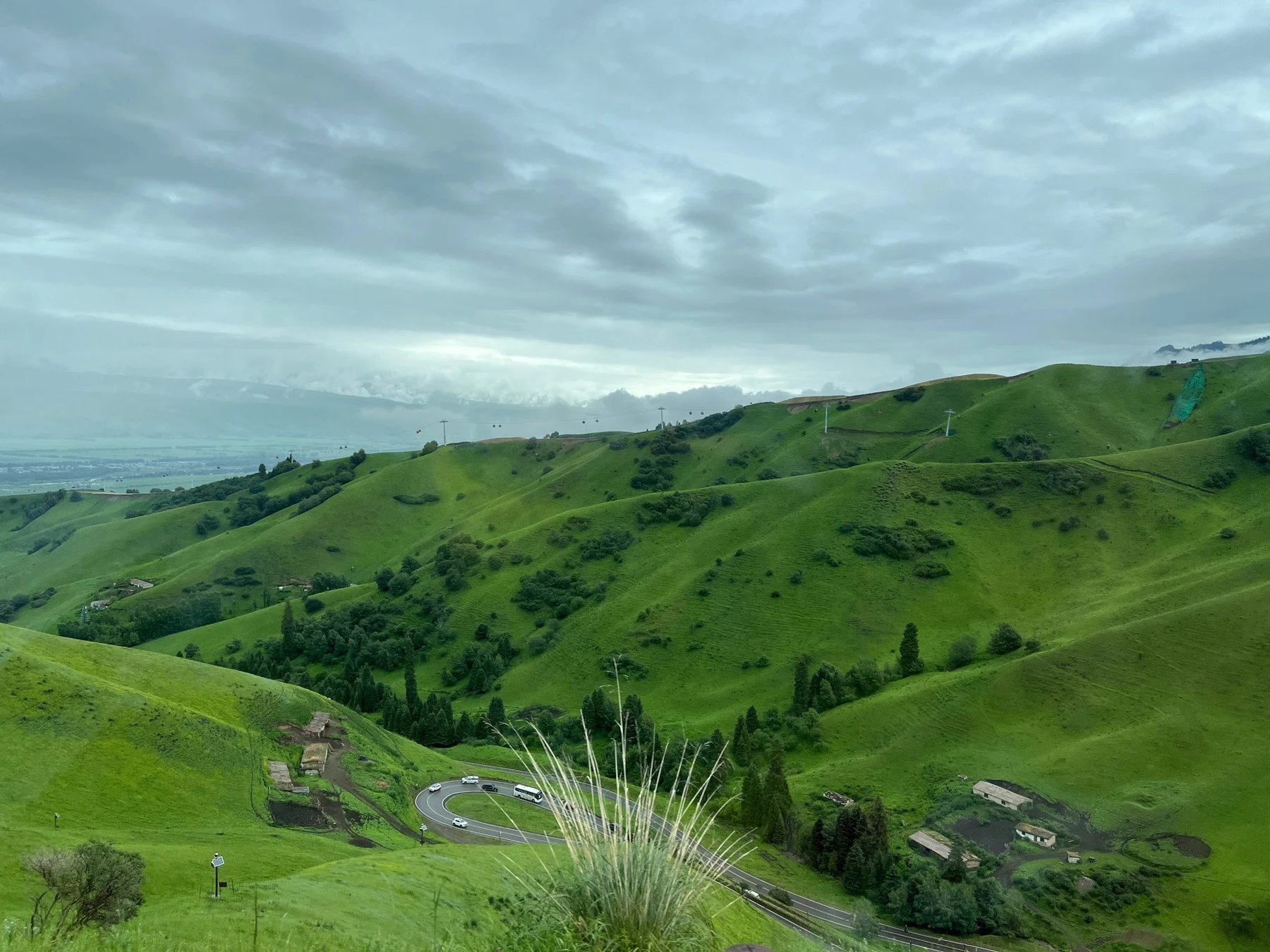 Nalati Grassland